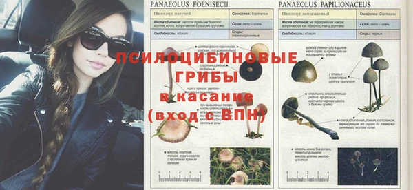Альфа ПВП Алексеевка