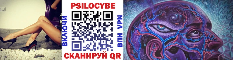 Галлюциногенные грибы Psilocybine cubensis  Купить где  Черемхово 
